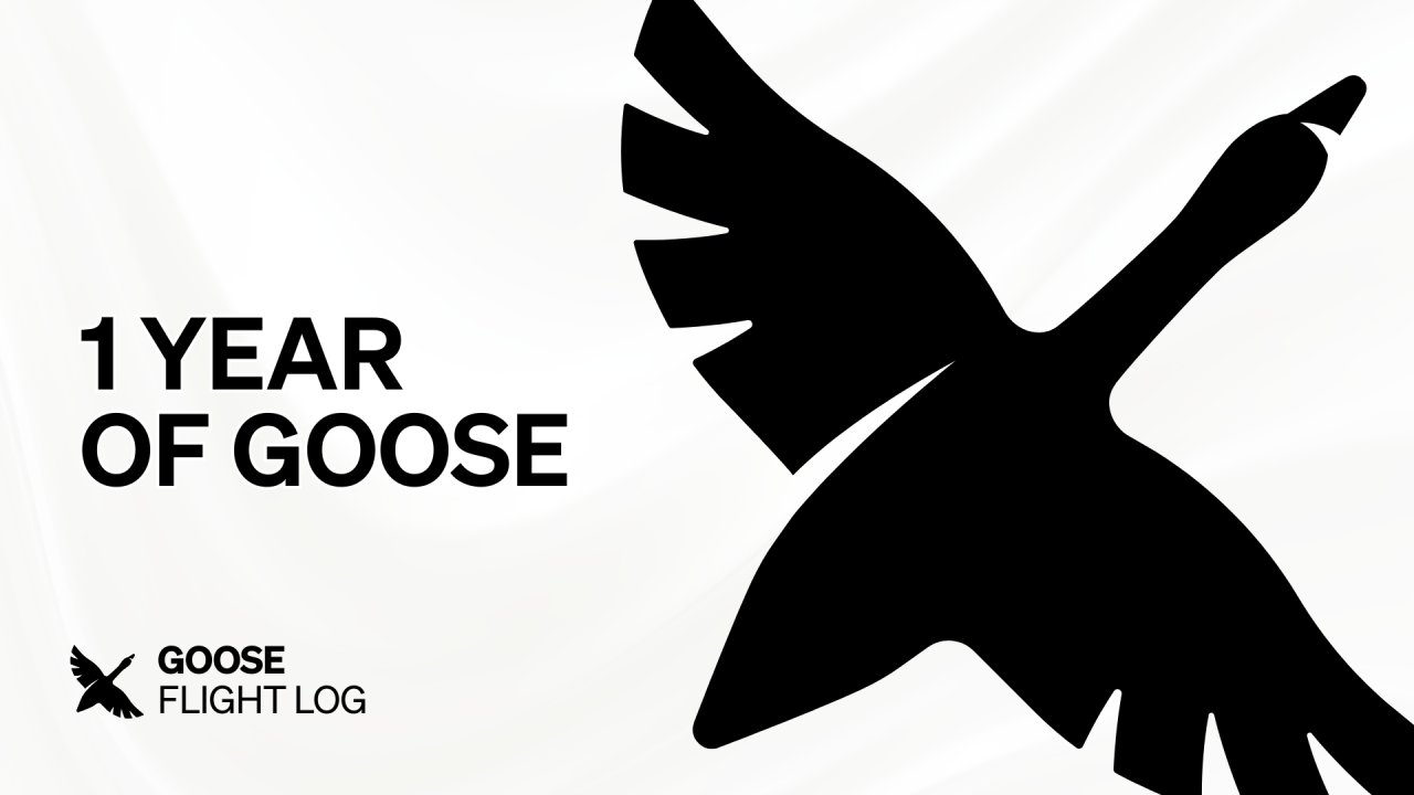 Goose Flight Log